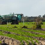 soil stabiliser